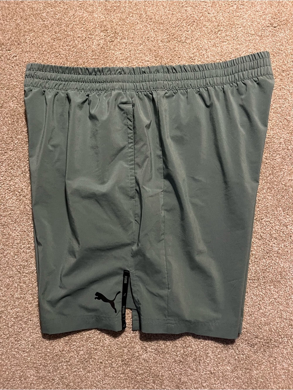 Puma Green Performance Shorts with Black Logo